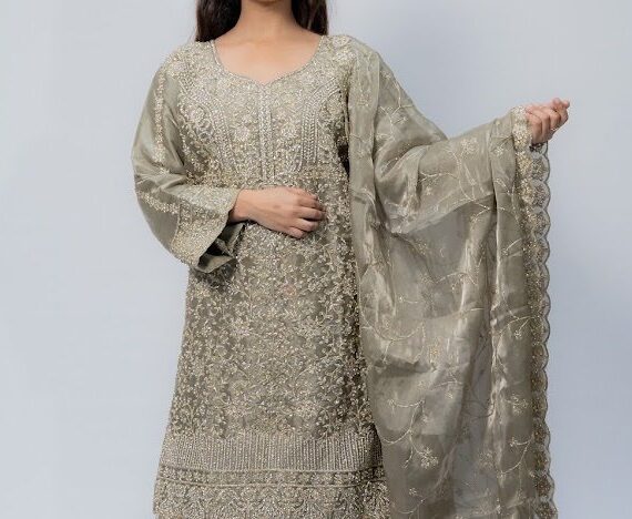 Gray Silver lehnga tissue with embroidery