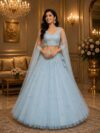 Net Lehenga with Sequin Design