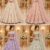 Designer Bridal Lehenga for Women